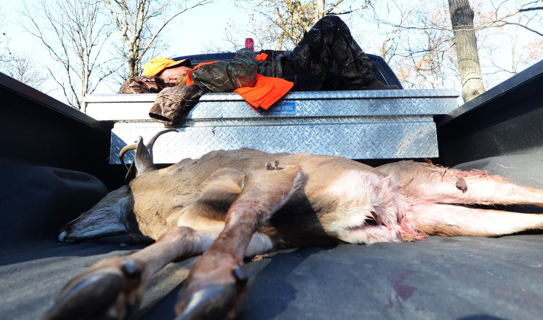 Deer Season